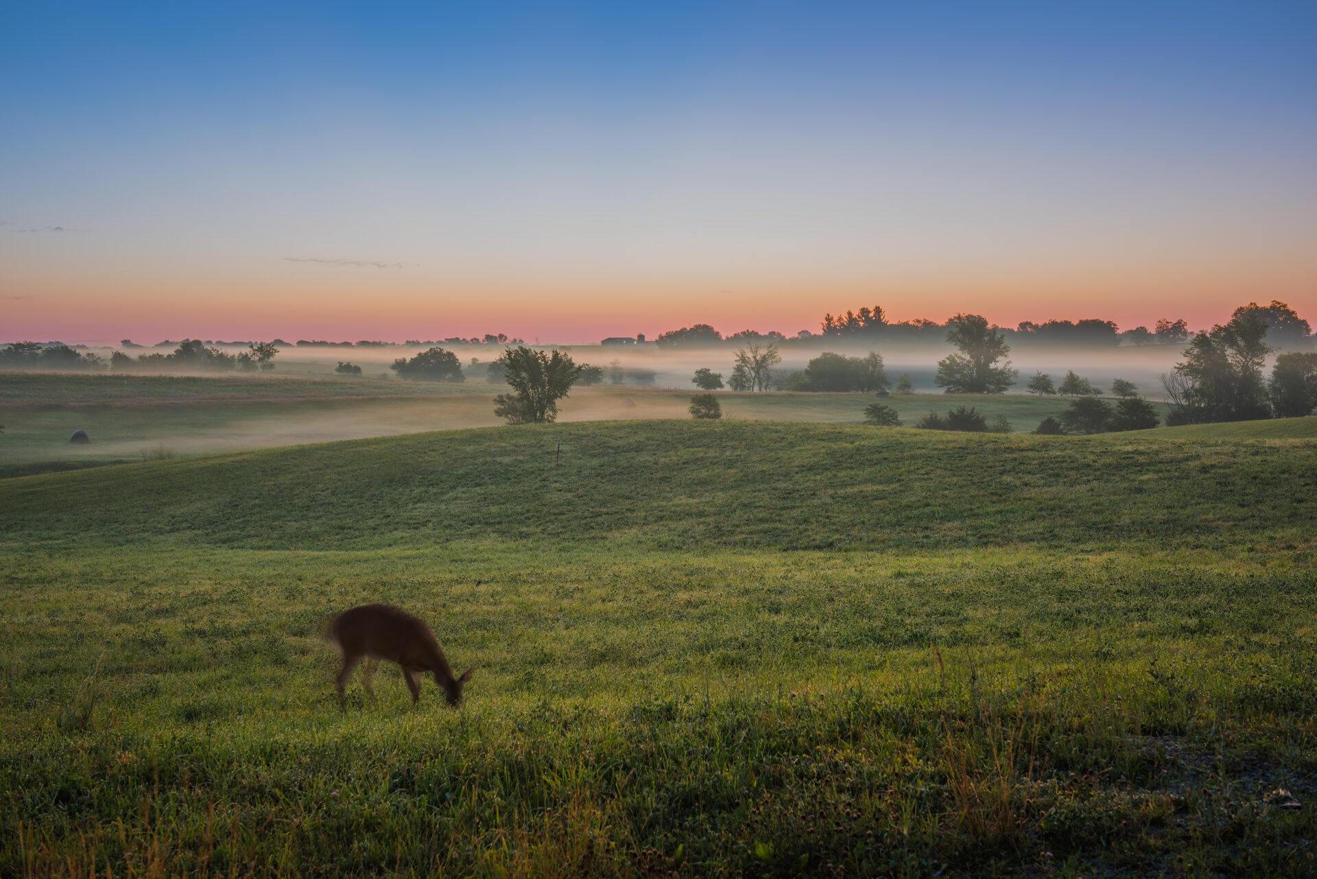 Rural Iowa scenery around Maharishi Vedic City