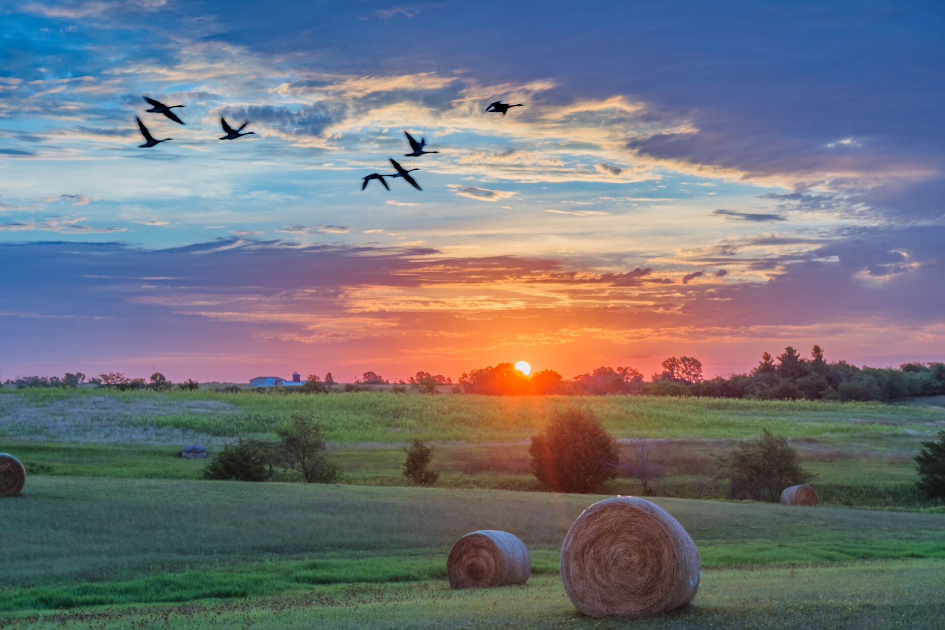 Rolling Iowa countryside surrounding Vedic Village